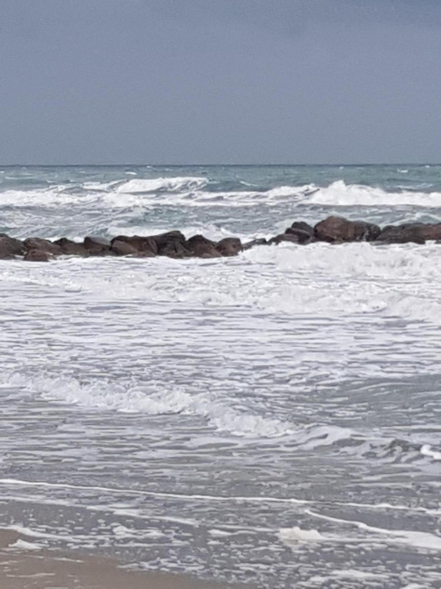 פרונטיניאן Tahiti Beach, T2 A La Mer, Piscine, Terrasse Et Parking מראה חיצוני תמונה